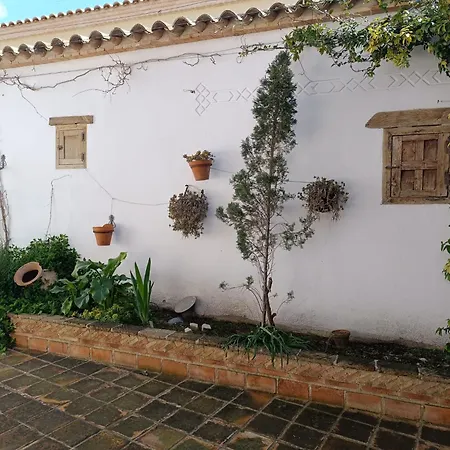 Apartamento Turisticos La Vida De Antes Consuegra