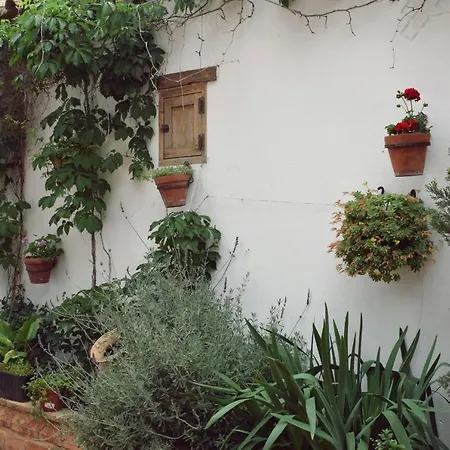 Apartamento Turisticos La Vida De Antes